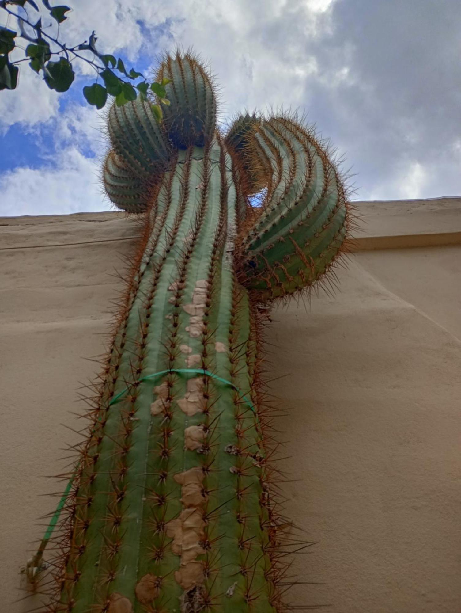 Hotel Del Sol Cafayate Zewnętrze zdjęcie